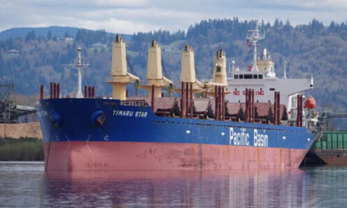 llegada del buque Billion Star a Río Negro