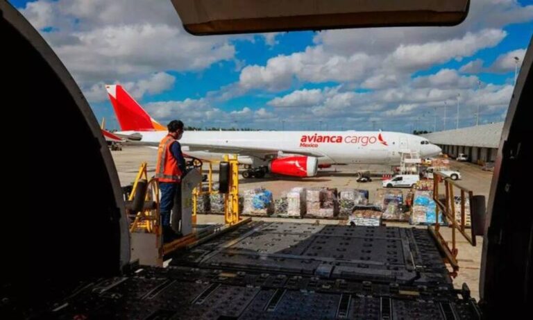 ALTA, Carga Aérea, Transporte Internacional, Argentina, Comercio Exterior, Logística,