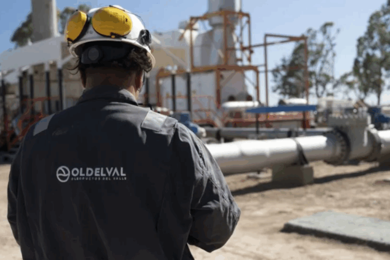 Oldelval, Trafigura, Vaca Muerta, Bahía Blanca, oleoducto, Refinería Bahía Blanca, Duplicar Norte, petróleo,