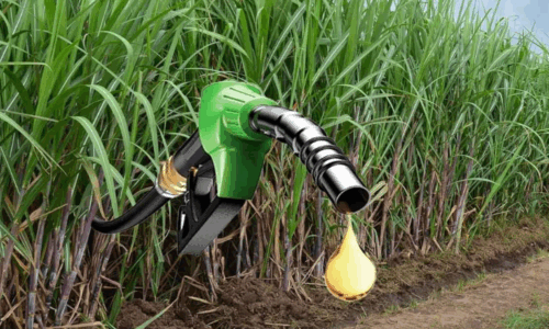 bioetanol, biocombustibles, Secretaría de Energía, Ministerio de Economía, caña de azúcar, maíz, precios combustibles, naftas,