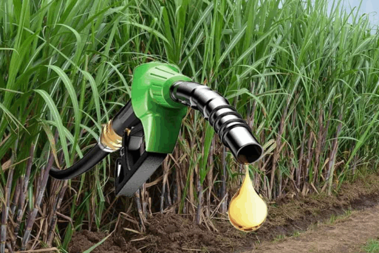 bioetanol, biocombustibles, Secretaría de Energía, Ministerio de Economía, caña de azúcar, maíz, precios combustibles, naftas,