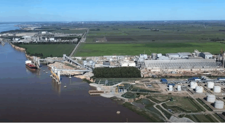 Hidrovía, Puertos, Timbúes, Terminal Timbúes, ACA, RIGI, Ministerio de Economía, Logística