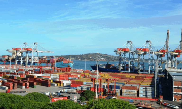 Puerto de Montevideo, contenedores, TEU, graneles, minerales, autos, pasajeros, MSC, Hapag-Lloyd, ANP, TGM, TCP, Cennave, Jorge Gandini