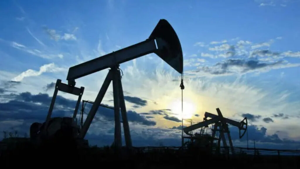 YPF, Tierra del Fuego, Terra Ignis, hidrocarburos, áreas convencionales, Legislatura, Gustavo Melella, Horacio Marín, Plan Andes,