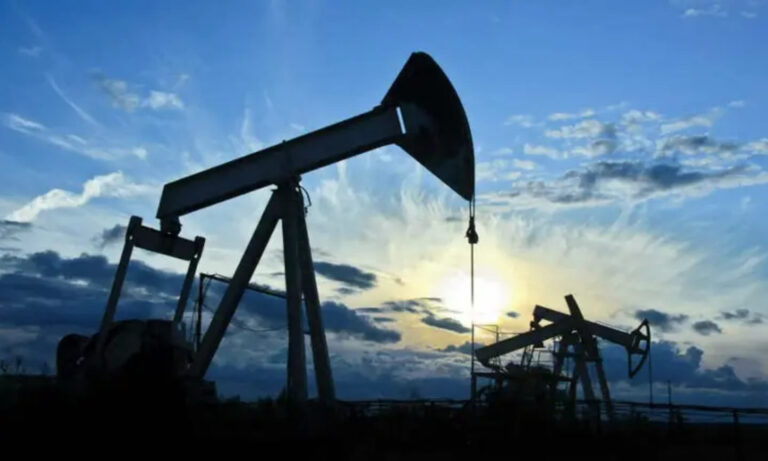 YPF, Tierra del Fuego, Terra Ignis, hidrocarburos, áreas convencionales, Legislatura, Gustavo Melella, Horacio Marín, Plan Andes,