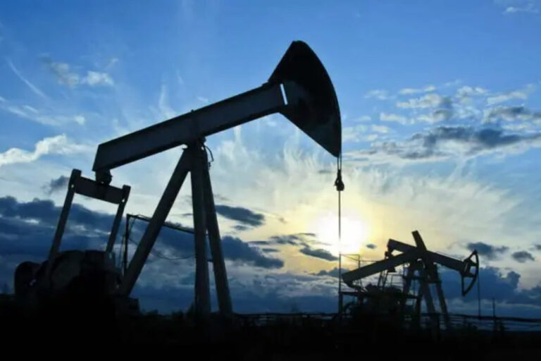 YPF, Tierra del Fuego, Terra Ignis, hidrocarburos, áreas convencionales, Legislatura, Gustavo Melella, Horacio Marín, Plan Andes,