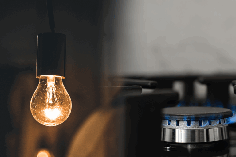 Ente Regulador del Gas y la Electricidad, ENRE, ENARGAS, Directorio, Comité evaluador, Política energética, Regulación energética, Gas, Electricidad, ENRGE