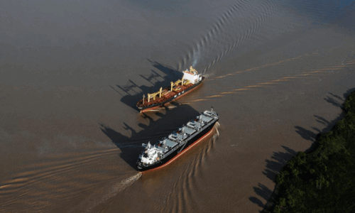 Hidrovía, Vía Navegable Troncal, ANPyM, licitación, puertos, comercio exterior, logística, exportaciones, infraestructura, transporte fluvial