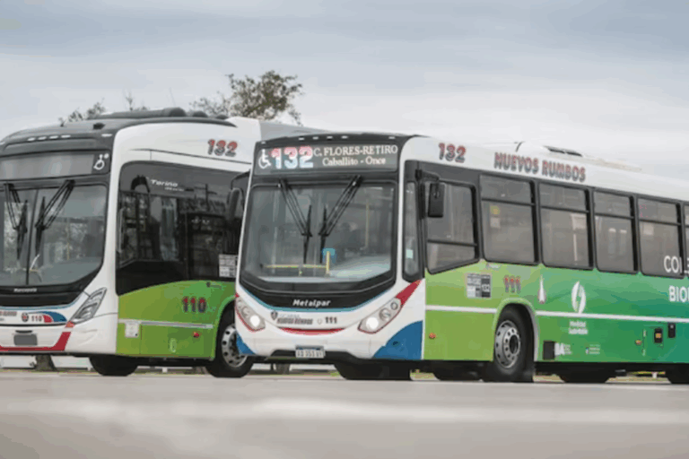 transporte público, colectivos, GNC, movilidad sustentable, Ciudad de Buenos Aires, AMBA, Grupo Metropol, líneas 65 y 151,