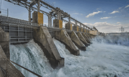 represas del Comahue, hidroeléctricas, privatización, concesiones, Secretaría de Energía, Ministerio de Economía, Alicurá, El Chocón, Cerros Colorados, Piedra del Águila,