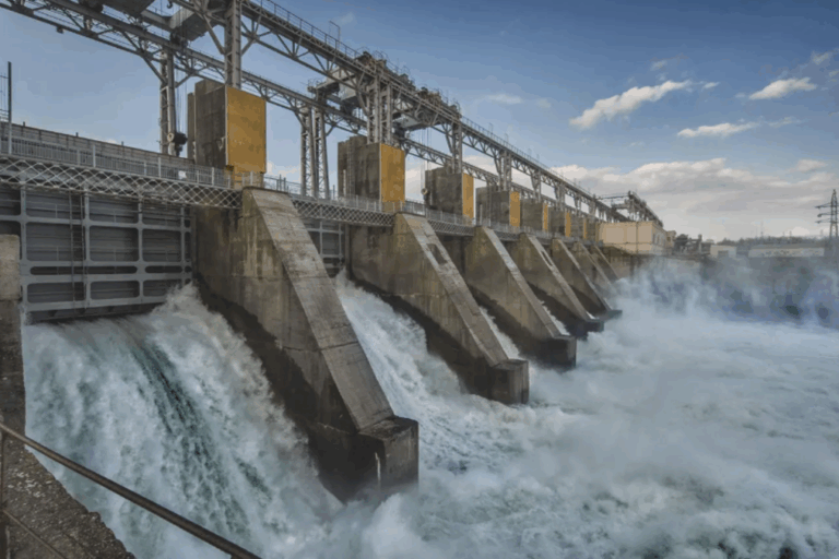 represas del Comahue, hidroeléctricas, privatización, concesiones, Secretaría de Energía, Ministerio de Economía, Alicurá, El Chocón, Cerros Colorados, Piedra del Águila,