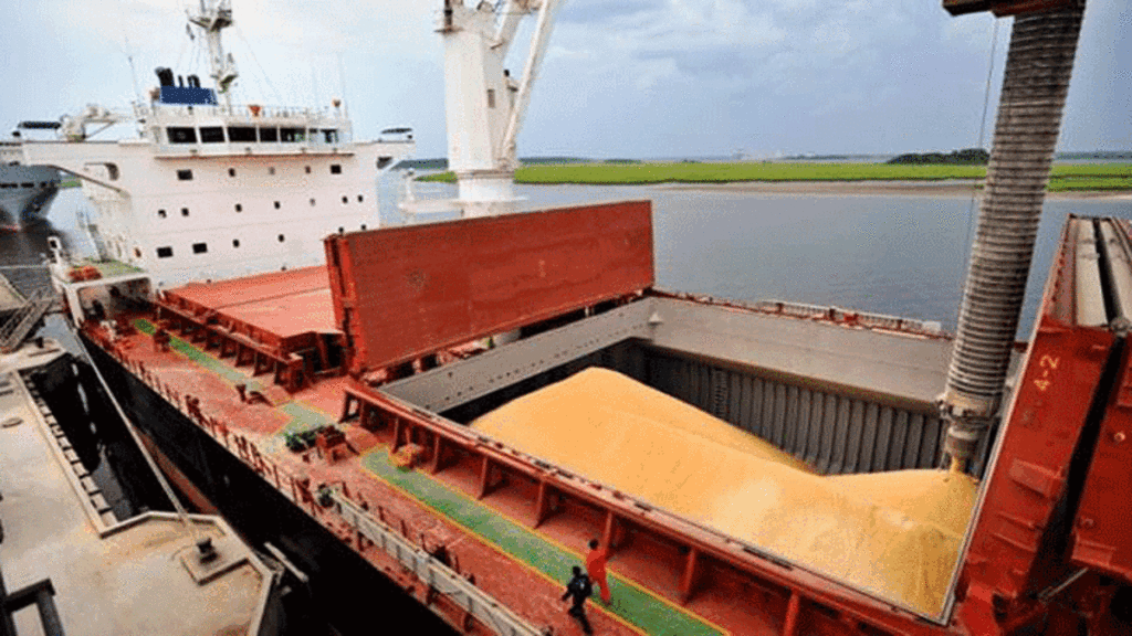 maíz temprano 2026, cosecha récord, producción agrícola, logística portuaria, Gran Rosario, SAGyP, rendimiento de cultivos, mercado de granos,