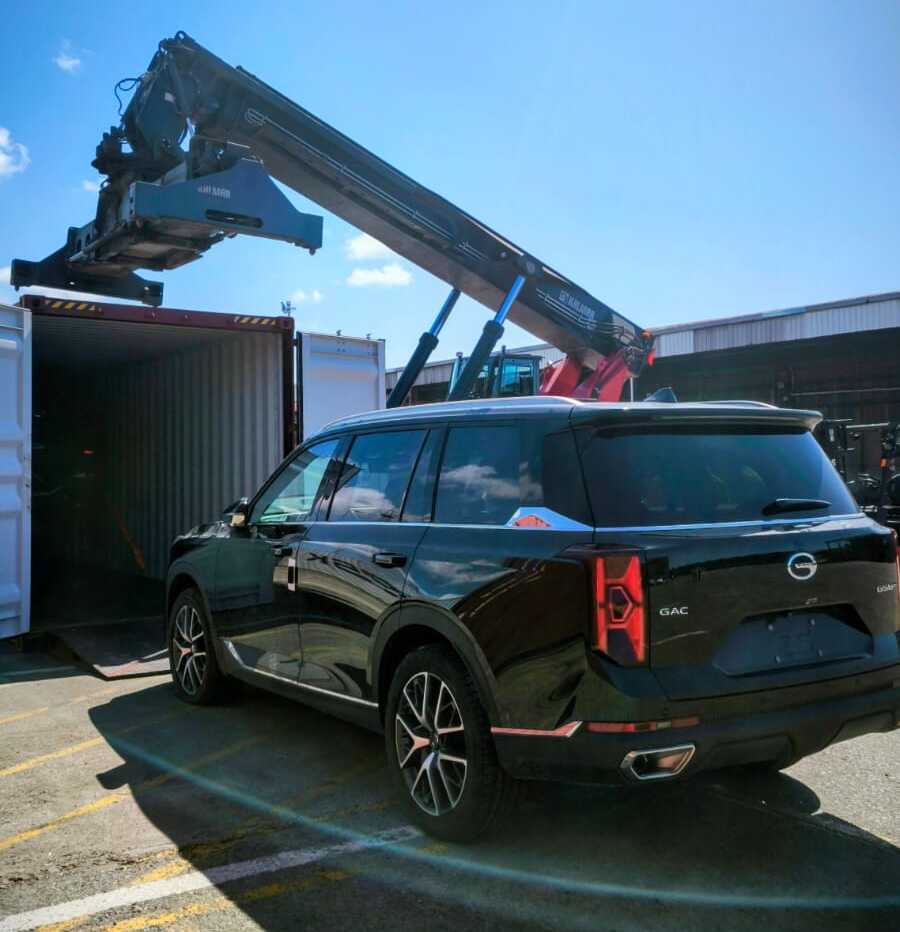 Autos, autos eléctricos, importación, Puerto Buenos Aires, GAC