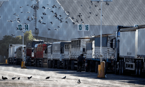 Logística, Transporte, Infraestructura, Puertos, Santa Fe, Gran Rosario, Lisandro Enrico, Bolsa de Comercio de Rosario, Gustavo Puccini, CIP