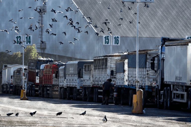 Logística, Transporte, Infraestructura, Puertos, Santa Fe, Gran Rosario, Lisandro Enrico, Bolsa de Comercio de Rosario, Gustavo Puccini, CIP