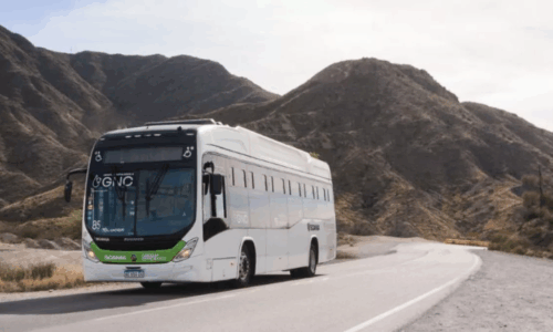 Transporte público, movilidad sustentable, GNC, buses urbanos, Mendoza, renovación de flota, energía limpia,