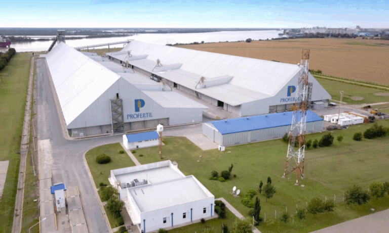 Profertil, puerto privado, Puerto General San Martín, Gran Rosario, sistema portuario, habilitación portuaria, logística, ANPYN