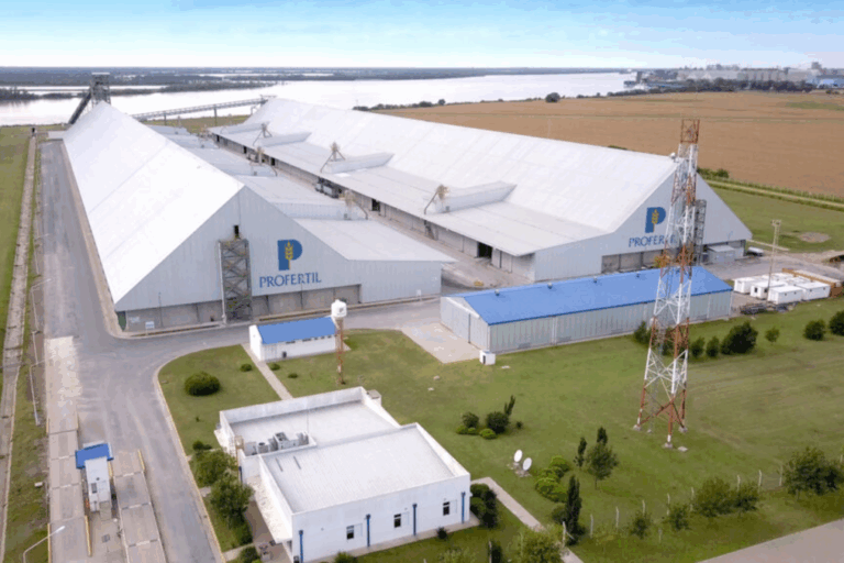 Profertil, puerto privado, Puerto General San Martín, Gran Rosario, sistema portuario, habilitación portuaria, logística, ANPYN