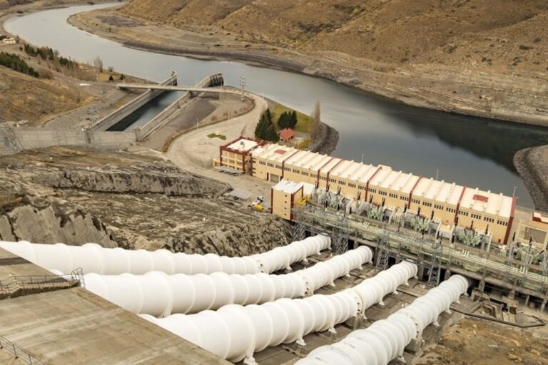 hidroelectricidad, represas, privatización, energía, mercado eléctrico, CAMMESA, Alicurá, El Chocón, Cerros Colorados, Piedra del Águila,