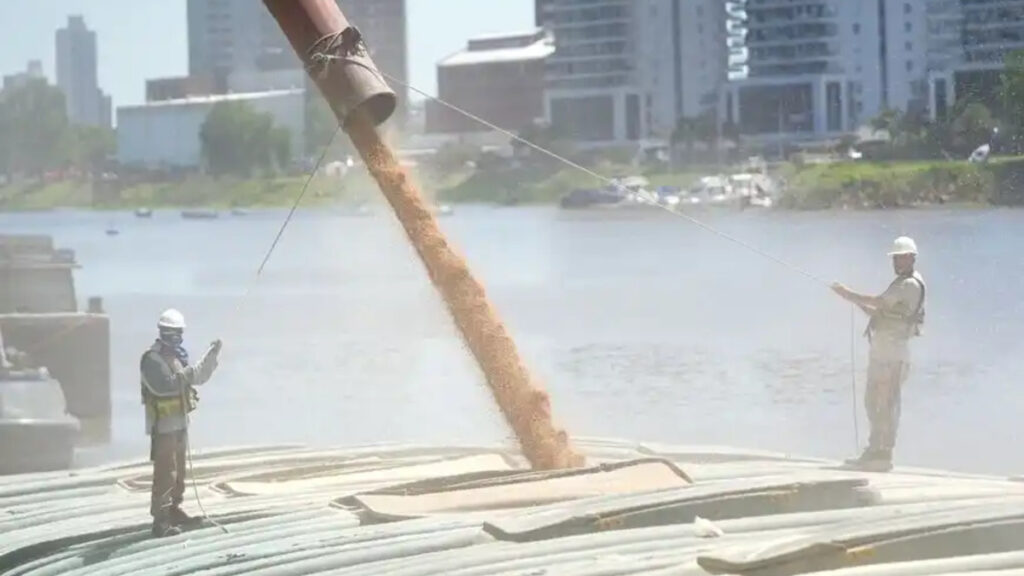 granos, Gran Rosario, puertos, logística agroindustrial, trigo, soja, maíz, exportaciones, Bolsa de Comercio de Rosario,