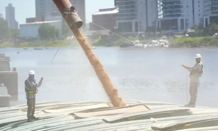 granos, Gran Rosario, puertos, logística agroindustrial, trigo, soja, maíz, exportaciones, Bolsa de Comercio de Rosario,