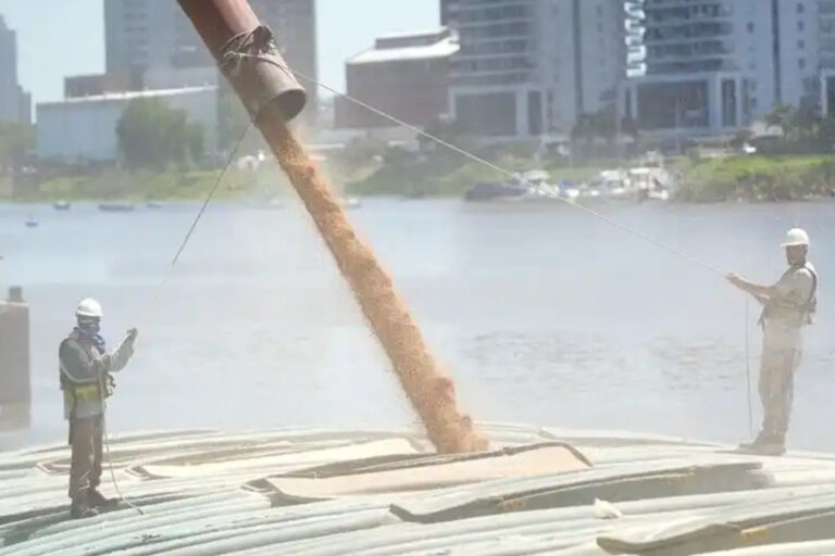 granos, Gran Rosario, puertos, logística agroindustrial, trigo, soja, maíz, exportaciones, Bolsa de Comercio de Rosario,
