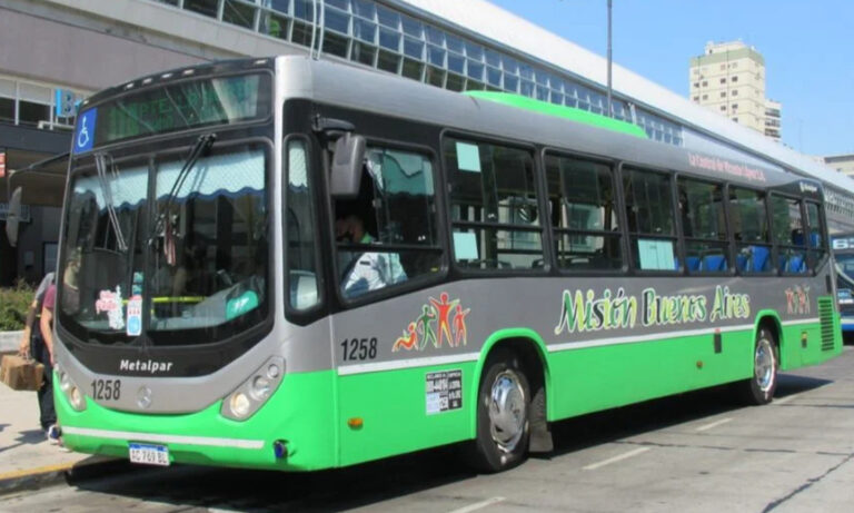 transporte publico, colectivos, linea 114, aeroparque jorge newbery, secretaria de transporte, area metropolitana, movilidad urbana, transporte automotor