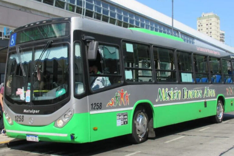 transporte publico, colectivos, linea 114, aeroparque jorge newbery, secretaria de transporte, area metropolitana, movilidad urbana, transporte automotor