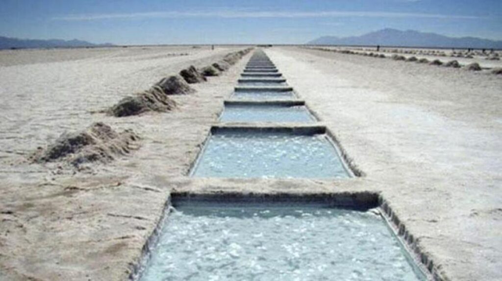 sal de vida, litio, catamarca