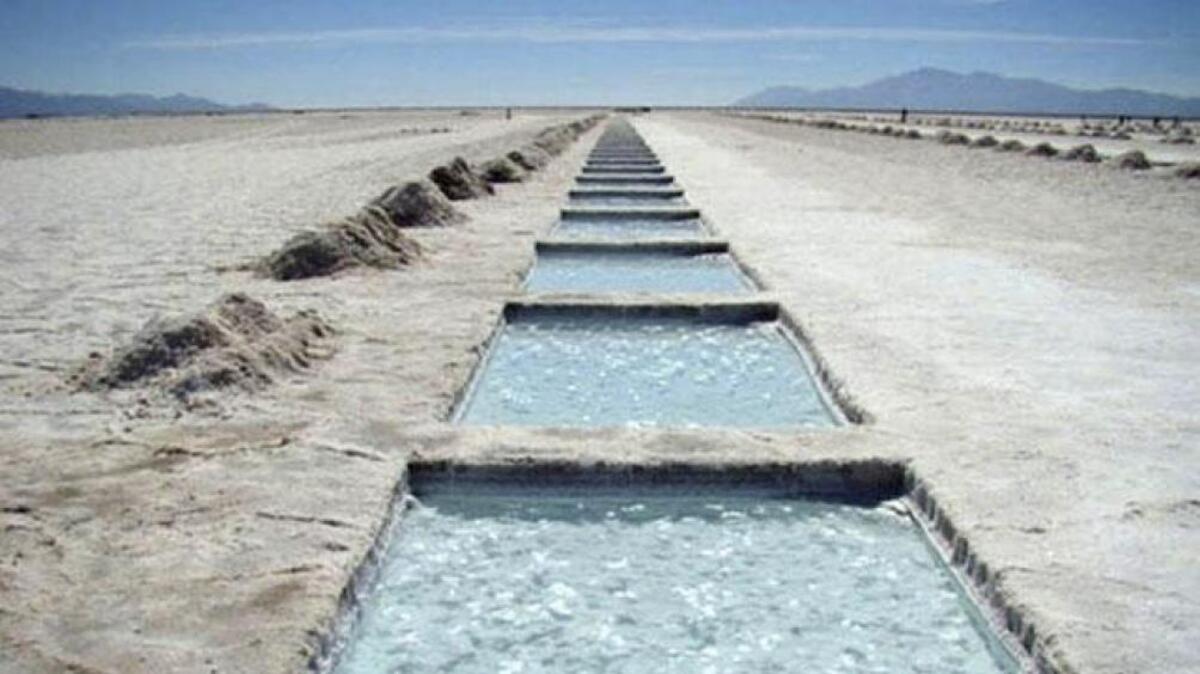 sal de vida, litio, catamarca