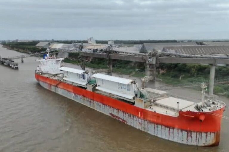 transporte marítimo, logística portuaria, exportación de trigo, Gran Rosario, Puerto General San Martín, buques graneleros, hidrovía Paraná-Paraguay, propulsión eólica,
