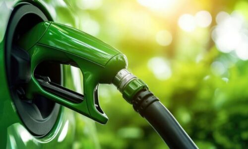 biocombustibles, biodiesel, bioetanol, Secretaría de Energía, Ministerio de Economía, combustibles, gasoil, nafta, energía,