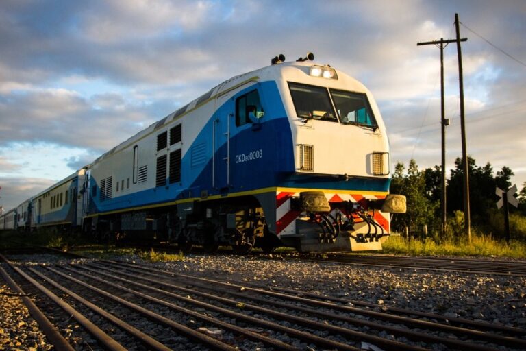 emergencia ferroviaria, Secretaría de Transporte, Ministerio de Economía, DNU 525/2024, sistema ferroviario, trenes de pasajeros, trenes de carga, infraestructura ferroviaria, CNRT,