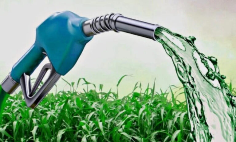 biocombustibles, biodiesel, bioetanol, Secretaría de Energía, Ministerio de Economía, combustibles, gasoil, nafta, energía,