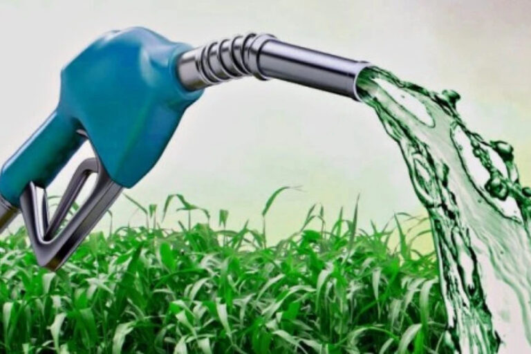 biocombustibles, biodiesel, bioetanol, Secretaría de Energía, Ministerio de Economía, combustibles, gasoil, nafta, energía,