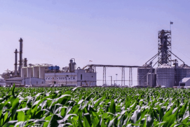 Córdoba, biodiesel, biocombustibles, Ingresos Brutos, Ley 11.062, industria, inversión, agroindustria, energía, economía circular