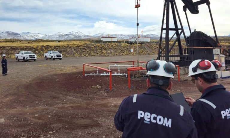 YPF, Pecom, Pérez Companc, Manantiales Behr, Rovella Capital, Limay Energía, Chubut, Cuenca del Golfo San Jorge, campos maduros,