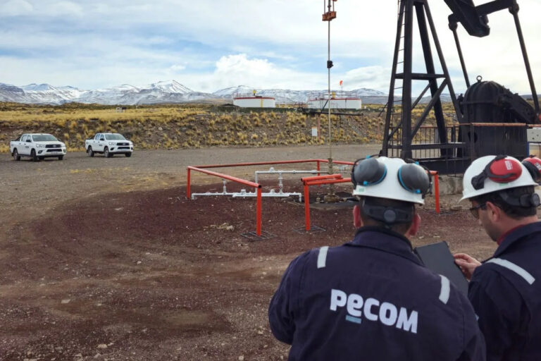 YPF, Pecom, Pérez Companc, Manantiales Behr, Rovella Capital, Limay Energía, Chubut, Cuenca del Golfo San Jorge, campos maduros,