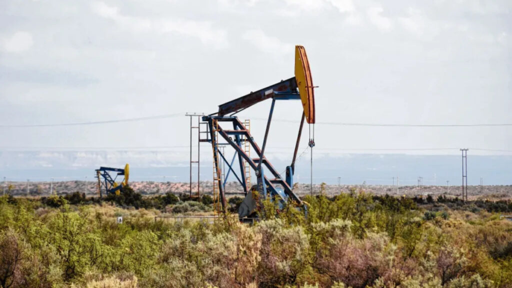 Neuquén, petróleo, gas, producción hidrocarburífera, Vaca Muerta, shale oil, shale gas, fracking, no convencional, energía, cuenca neuquina, Luciano Fucello, NCS Multistage,