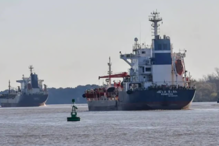 Hidrovía, Vía Navegable Troncal, licitación, comercio exterior, dragado, balizamiento, exportaciones, Bolsa de Comercio de Rosario, UIA, puertos, logística,