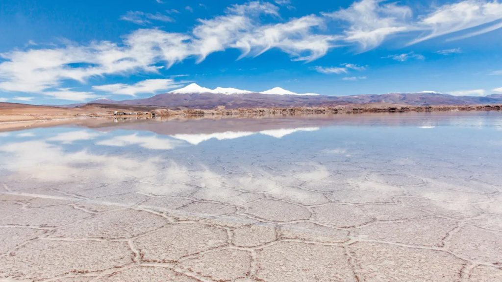 Ganfeng Lithium, Lithium Argentina, RIGI, Régimen de Incentivos a las Grandes Inversiones, litio, minería, Salta, Pozuelos–Pastos Grandes, inversión extranjera, extracción directa de litio,