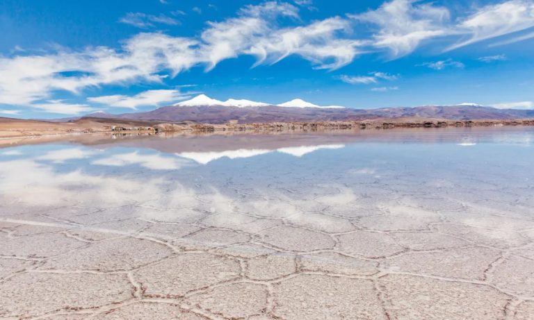 Ganfeng Lithium, Lithium Argentina, RIGI, Régimen de Incentivos a las Grandes Inversiones, litio, minería, Salta, Pozuelos–Pastos Grandes, inversión extranjera, extracción directa de litio,
