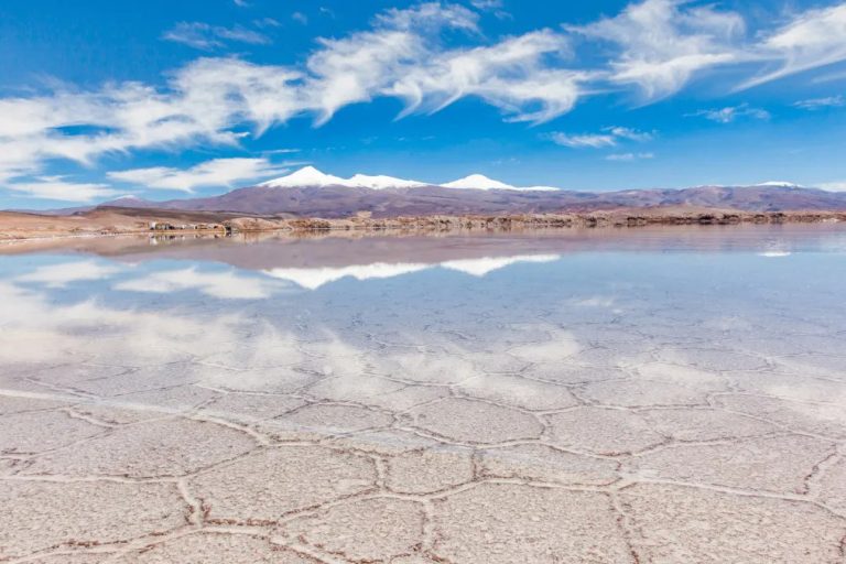 Ganfeng Lithium, Lithium Argentina, RIGI, Régimen de Incentivos a las Grandes Inversiones, litio, minería, Salta, Pozuelos–Pastos Grandes, inversión extranjera, extracción directa de litio,