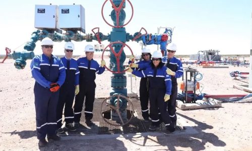 Río Negro fue la sorpresa de Vaca Muerta con un pozo récord