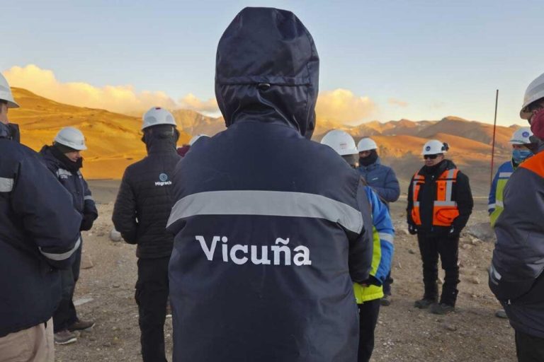 Vicuña, trabajadores, San Juan