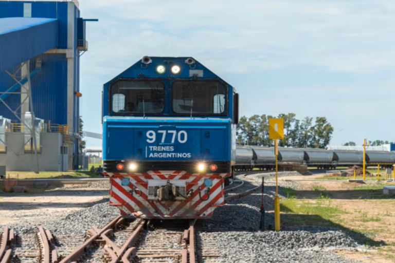 trenes argentinos cargas, ferrocarriles, privatización, open access, logística, cargas ferroviarias, infraestructura, transporte ferroviario, alejandro núñez, línea belgrano, línea san martín, línea urquiza, concesiones, agroexportadoras,