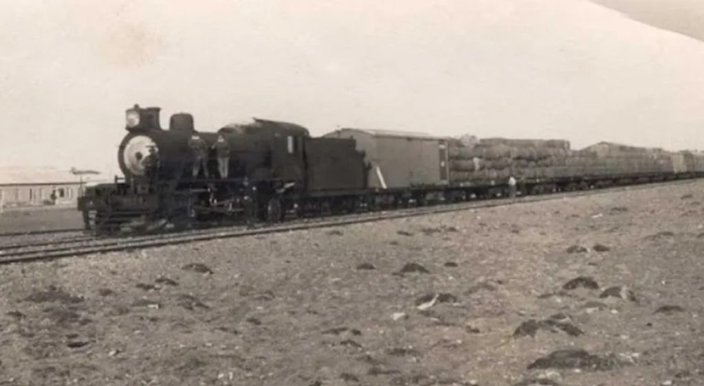 santa cruz, tren patagónico