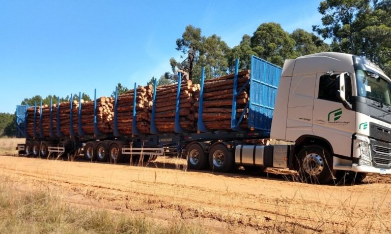 bitrenes, transporte de cargas, logística, infraestructura vial, rutas nacionales, Unión Industrial Argentina, UIA, camiones, competitividad, costos logísticos, FAETyL, Ledesma, Santa Fe, corredores logísticos, transporte carretero