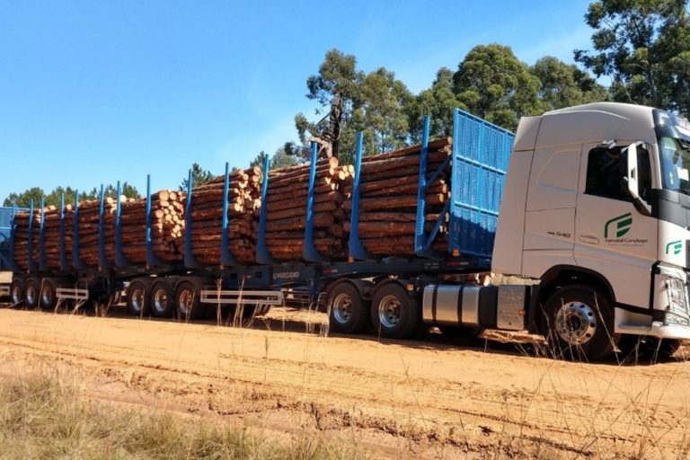 bitrenes, transporte de cargas, logística, infraestructura vial, rutas nacionales, Unión Industrial Argentina, UIA, camiones, competitividad, costos logísticos, FAETyL, Ledesma, Santa Fe, corredores logísticos, transporte carretero
