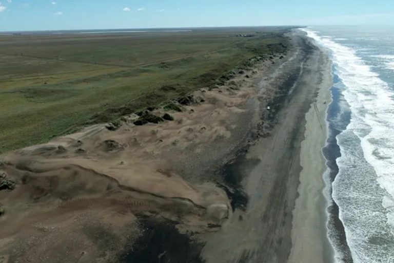 tierras raras en costa bonaerense